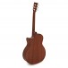 Tanglewood TW-2021 Winterleaf Electro Acoustic