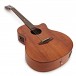 Tanglewood TW-2021 Winterleaf Electro Acoustic