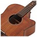 Tanglewood TW-2021 Winterleaf Electro Acoustic