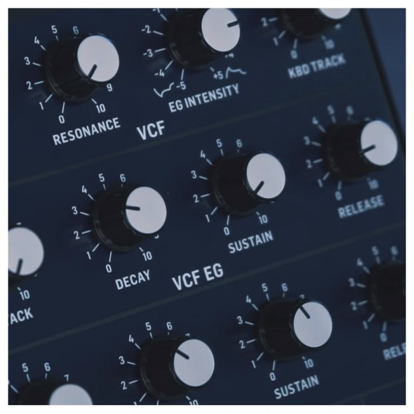 Behringer MonoPoly Polyphony Synthesizer - Detail 2