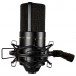 770 Condenser Microphone with FET Preamp - Side with Shock Mount