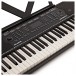 Alesis Harmony 54 Portable Keyboard