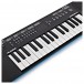 Alesis Harmony 32 Portable Keyboard with Built-In Speakers
