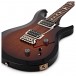 PRS S2 Custom 22, Custom Colour #S2050693