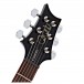 PRS S2 Custom 22, Custom Colour #S2050693