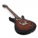 PRS S2 Custom 22, Custom Colour #S2050693