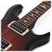 PRS S2 Custom 22, Custom Colour #S2050693