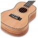 Tanglewood TWT11 Tiare Concert Ukulele, Natural