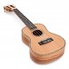 Tanglewood TWT11 Tiare Concert Ukulele, Natural