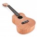 Tanglewood TWT6 Tiare Concert Size Ukulele