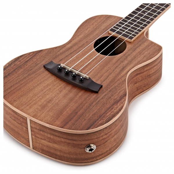Tanglewood TUJ2CE Exotic Java Concert Ukulele
