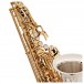 Yanagisawa AWO37 Alto Saxophone, Solid Silver