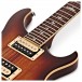 PRS SE Standard 24, Tobacco Sunburst