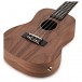 Tanglewood TWT3E Tiare Electro Acoustic Ukulele, Natural Satin