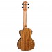 Luna Vista Bear Electro Concert Ukulele, Gloss back