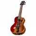 Luna Vista Bear Electro Concert Ukulele, Gloss angle