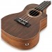 Tanglewood TWT21-E Tiare Concert Electro Ukulele, Natural