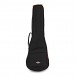 Tanglewood TWT21-E Tiare Concert Electro Ukulele, Natural