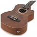 Tanglewood TWT22-E Tiare Tenor Electro Ukulele, Natural