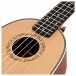 Hartwood Renaissance Soprano Pineapple Ukulele, Spruce