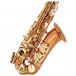 Conn-Selmer DAS200 Alto Saxophone