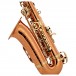 Conn-Selmer DAS200 Alto Saxophone