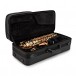 Conn-Selmer DAS200 Alto Saxophone