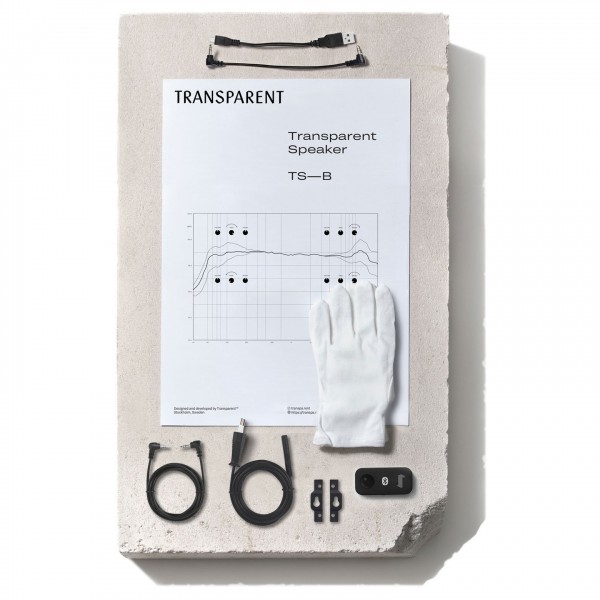 Transparent TS-B-B Big Speaker, Black - Packaging