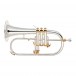 Odyssey OFG1300SG Flugel Horn, Silver and Gold