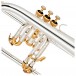 Odyssey OFG1300SG Flugel Horn, Silver and Gold