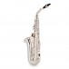 Yanagisawa AWO20S Alto Saxophone, Silver