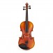 Gewa Maestro 1 Violin Outfit, Bulletwood Bow, Shaped Case