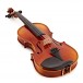 Gewa Maestro 1 Violin Outfit, Bulletwood Bow, Shaped Case