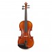 Gewa Maestro 1 Violin Outfit, Bulletwood Bow, Oblong Case