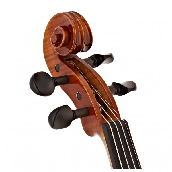Gewa Maestro 1 Violin Outfit, Bulletwood Bow, Oblong Case