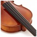 Gewa Maestro 1 Violin Outfit, Bulletwood Bow, Oblong Case