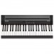 Alesis Prestige 88-Key Digital Piano