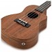 Tanglewood TWT12E Tiare Concert Size Electro Ukulele