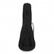 Tanglewood TWT12E Tiare Concert Size Electro Ukulele