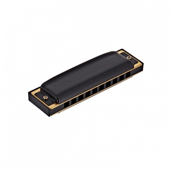 Hohner Pro Harp MS Harmonica, C