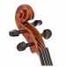 Gewa Maestro 1 3/4 Violin Outfit, Carbon Bow, Shaped Case, Peg box