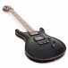 PRS Custom 24 Wood Library, 10 Top Green Fade #0319426