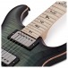 PRS Custom 24 Wood Library, 10 Top Green Fade #0319426