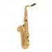 Yamaha YTS280 Student Tenor Saxophone, back