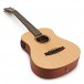 Tanglewood TW2TSE Winterleaf Travel Electro Acoustic, Natural Satin