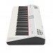 Roland Go:Piano with Alexa Voice Control