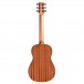 Cordoba Mini-II MH (Mahogany) back