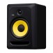 RP8 Classic Studio Monitor - Angled