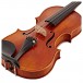 Stentor Amati Model Violin, Full Size, Instrument Only