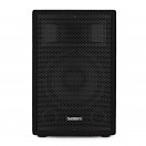 SubZero C10 Altoparlante PA Passivo